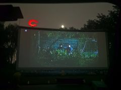 -枫花园汽车电影院(朝阳公园店)