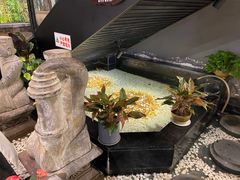 -龙抄手食府(浣花北路店)