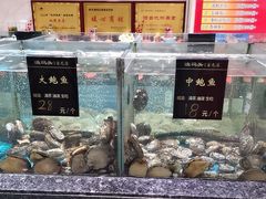 -渔码头食府(蓬莱阁店)