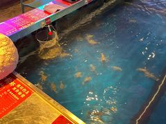 -钳真多钓虾馆·小龙虾海鲜烧烤(九六广场店)