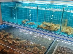 水产区-东厨虾煌(电子街店)