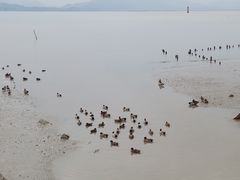 -深圳湾公园(南山区)