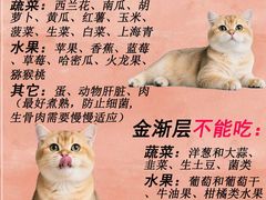 -翊宠yipet猫狗购宠庄园