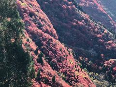 -空心山旅游区