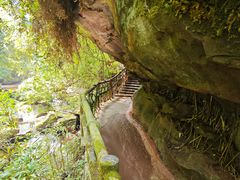 -中国大熊猫保护研究中心雅安碧峰峡基地