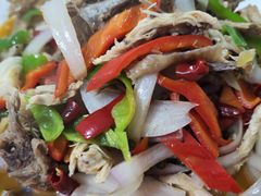 -煲来饱去冷水鱼