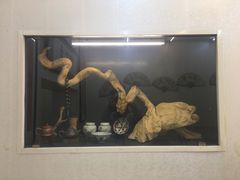 -巷子深菜馆(新华路店)