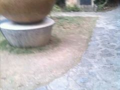 android_upload_pic-广西壮族自治区药用植物园