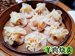 -真定郝家排骨(大十字街店)