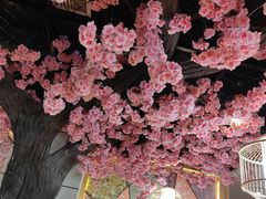 -九田家黑牛烤肉料理·自助(洪洞县城市花园店)