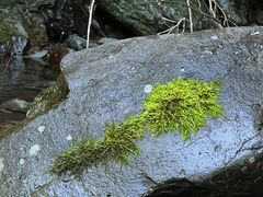 -双龙峡