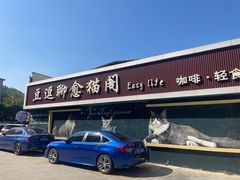 -豆逗聊愈猫阁Easy Life