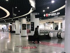 -东方体育中心(地铁站)