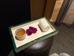 -文华东方水疗中心