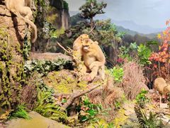 -陕西自然博物馆