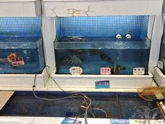 -益利大酒楼(井岸店)