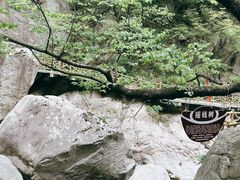 -洛阳白云山景区