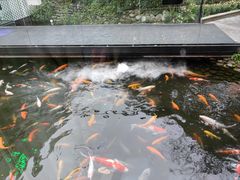 -西江印象酒楼