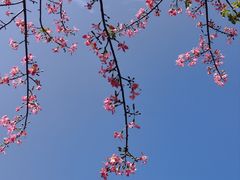 -22ºN BISTRO西餐&酒馆(石奥商业街店)