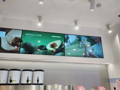 -树夏(成都招商大魔方店)