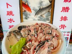 -大理.老字号渝记酸萝卜乌鱼(古城总店)