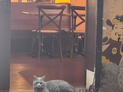 -猫岛主趣味餐厅(鼓浪屿店)