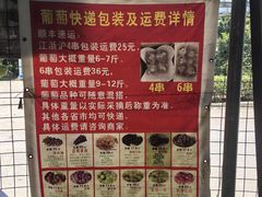 -马陆小张葡萄园农家乐