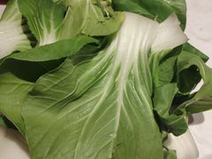 -杨氏青龙虾·羊蝎子(金盛路总店)