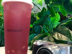 红石榴脆珠珠-SENTEA森茶(麦地丽日店)