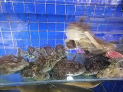-皇朝海鲜酒店