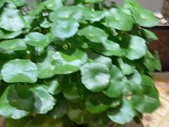 -洛阳宴·洛阳菜(南昌路店)