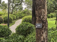 -东莞植物园
