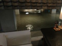 -瓦库茶馆17号(海汇港店)