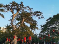 -白沙门生态公园