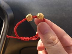 -中环花鸟鱼虫市场