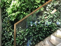 -Peet's Coffee皮爷咖啡(大学路店)