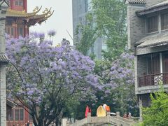 -龙潭水乡