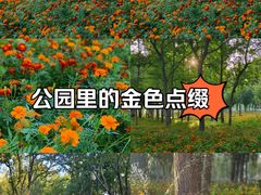 -咸阳湖景区