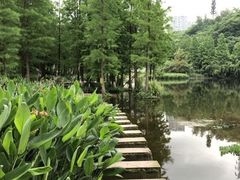 -重庆彩云湖湿地公园