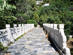 -白水寺森林公园