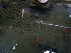 -北国商城