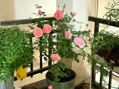 -边渡咖啡烘焙店(昙华林店)