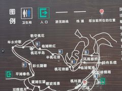 -重庆彩云湖湿地公园
