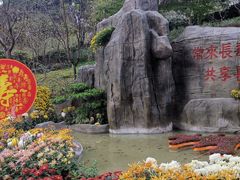 -南山植物园