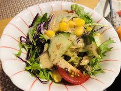 蔬菜沙拉-活鳗饭·鹅肝范儿(高碑店店)