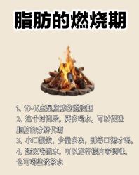 -Fundi张玉珊修身堂·indiba·BTL科技瘦身