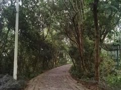 -仙岳公园