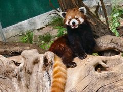 -大连森林动物园