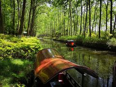 -合肥滨湖国家森林公园