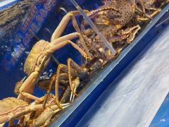 -鹊华居·地道鲁菜·海鲜·融合味(大明湖店)